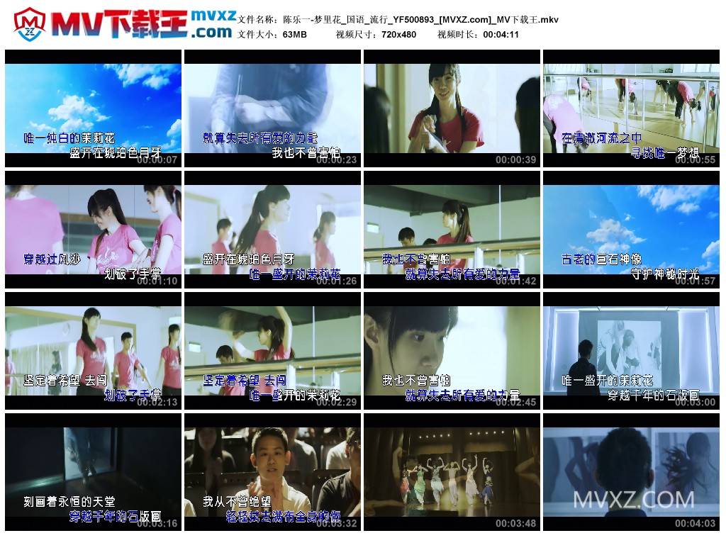 陈乐一-梦里花_国语_流行_YF500893